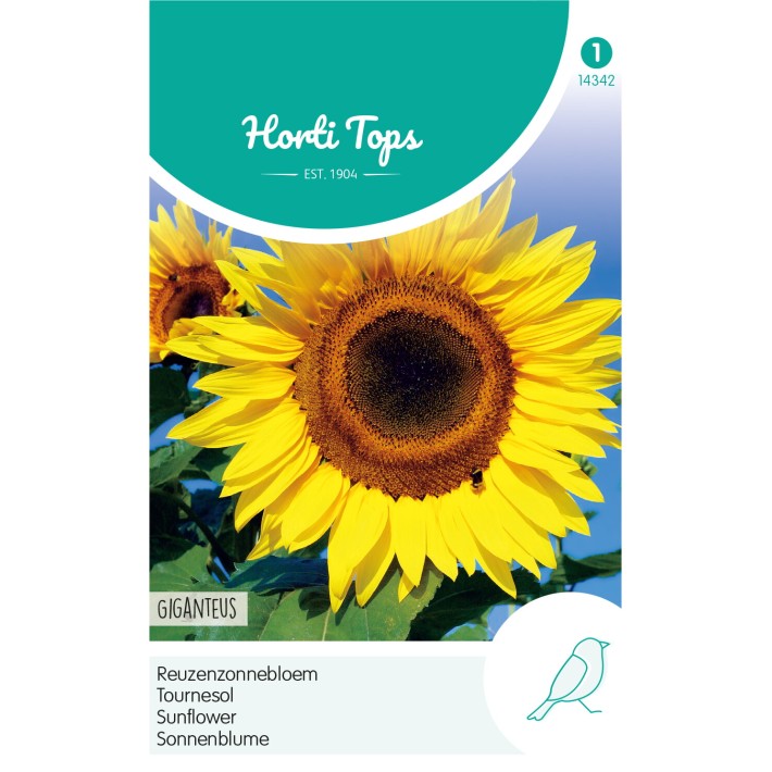 Horti Tops® Tournesol Giganteus