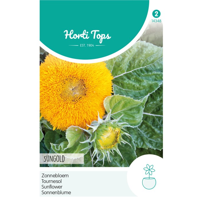 Horti Tops® Tournesol Sungold Nain Double ,Jaune