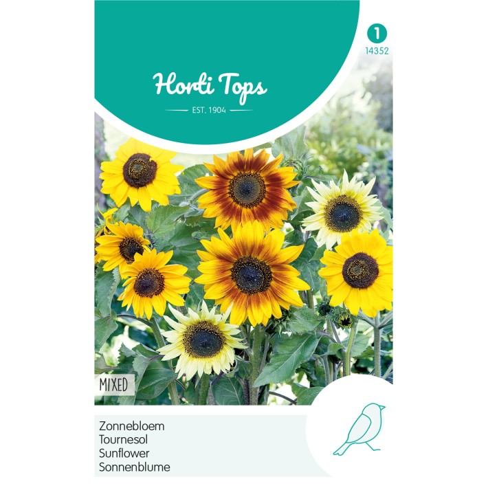 Horti Tops® Helianthus cucumerifolius varié