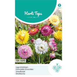 Horti Tops® Immortelle à bractées Tom Thumb naine variée