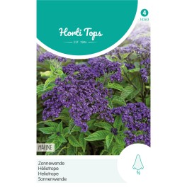 Horti Tops® Heliotropium Peruvianum Bleu
