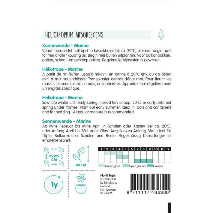 Horti Tops® Heliotropium Peruvianum Bleu
