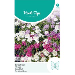 Horti Tops® Iberis Umbellata Naine Variee / Thlaspi