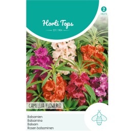 Horti Tops® Impatiens Balsamina A Fl. De Camelia Variee