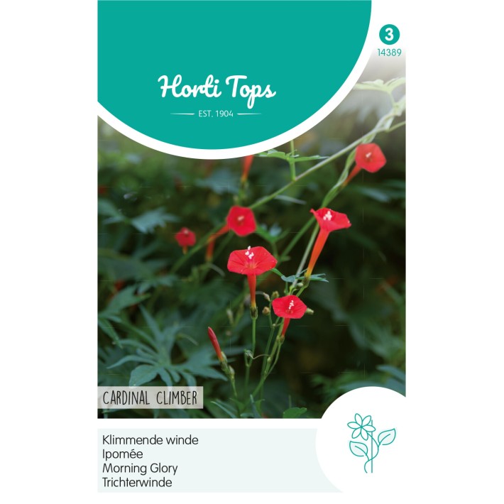 Horti Tops® Ipomée Cardinal Climber