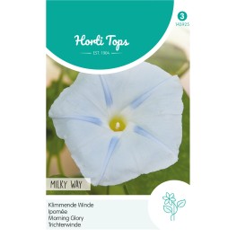 Ipomoea, Klimmende Winde Milky Way