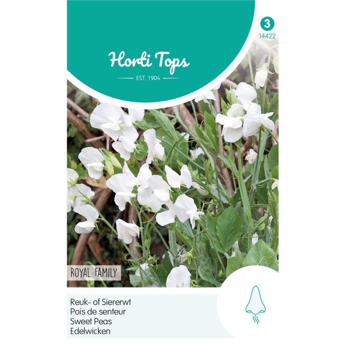 Horti Tops® Lathyrus Odoratus Royal Family White