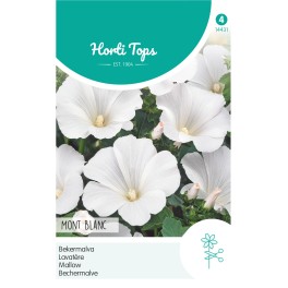 Lavatera, Bekermalva Mont Blanc