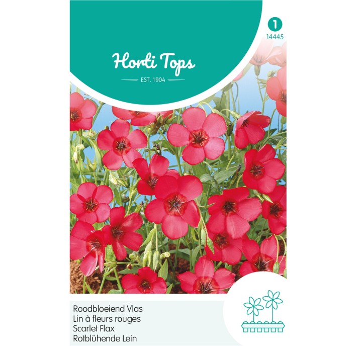 Horti Tops® Linum Grandiflorum Rubrum, Rouge