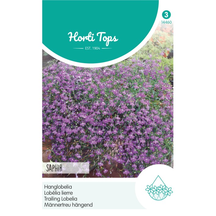 Horti Tops® Lobelia pendula Saphir bleu