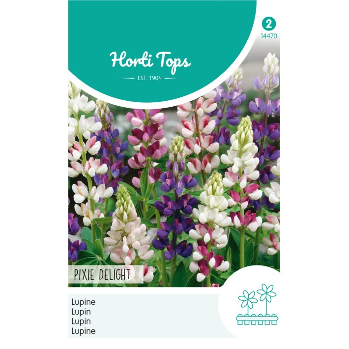 Horti Tops® Lupin Annuel Pixie Delight Nain Varie