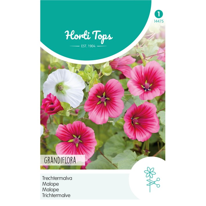 Horti Tops® Malope Trifida A Grande Fleur Variee