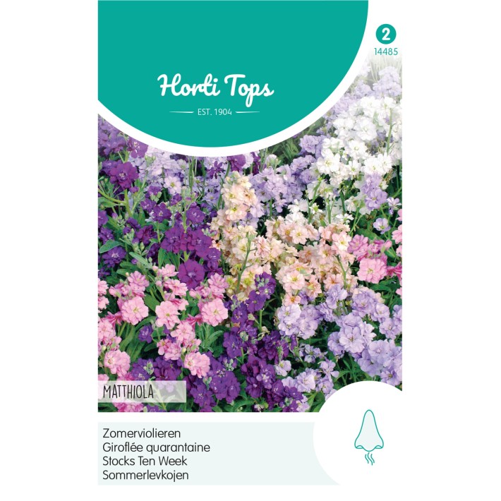 Horti Tops® Matthiola incana Quarantaine double variée