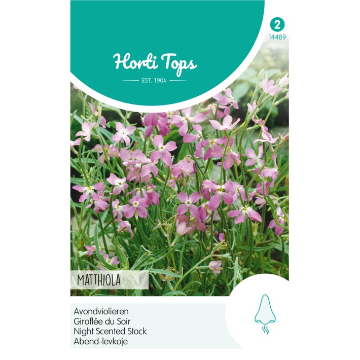 Horti Tops® Matthiola, Giroflée de Sour ou de la Nuit rose