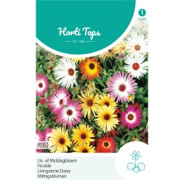Horti Tops® Dorotheanthus bellidiformis Tapis magique