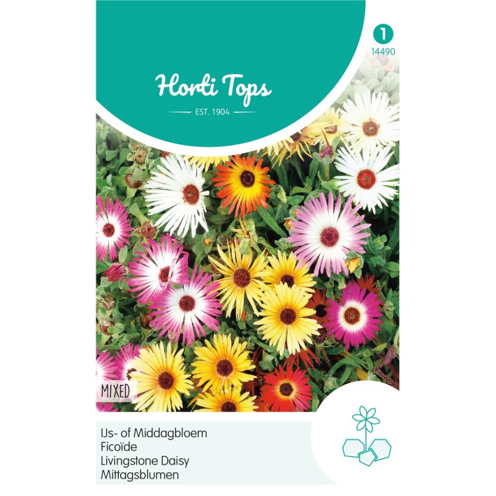 Horti Tops® Dorotheanthus bellidiformis Tapis magique