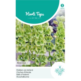 Horti Tops® Moluccella Laevis / Gloches D'Irlande