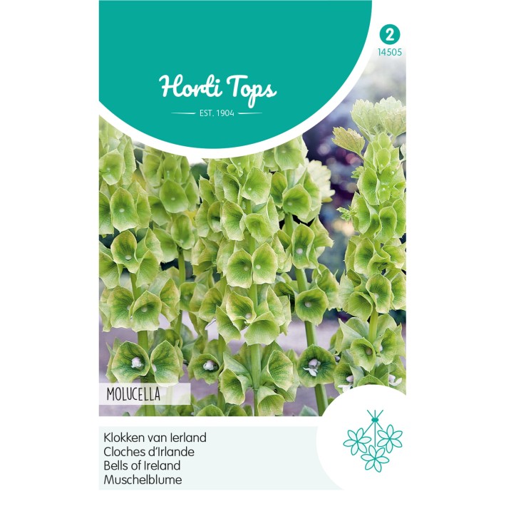 Horti Tops® Moluccella Laevis / Gloches D'Irlande
