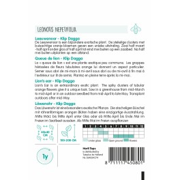 Horti Tops® Leonotis, Queue de lion Klip Dagga