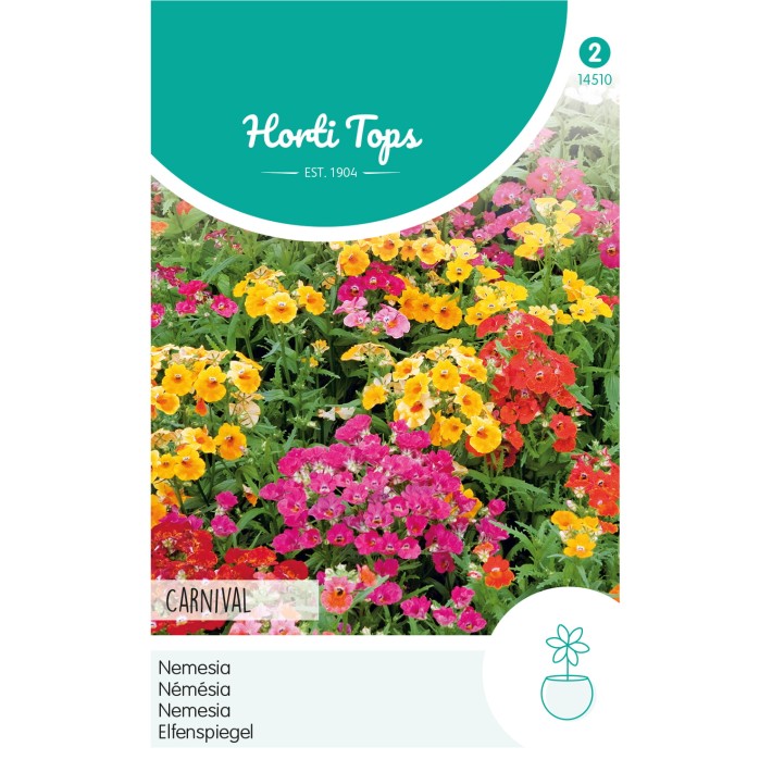Horti Tops® Nemesia Carnaval Couleurs Variees