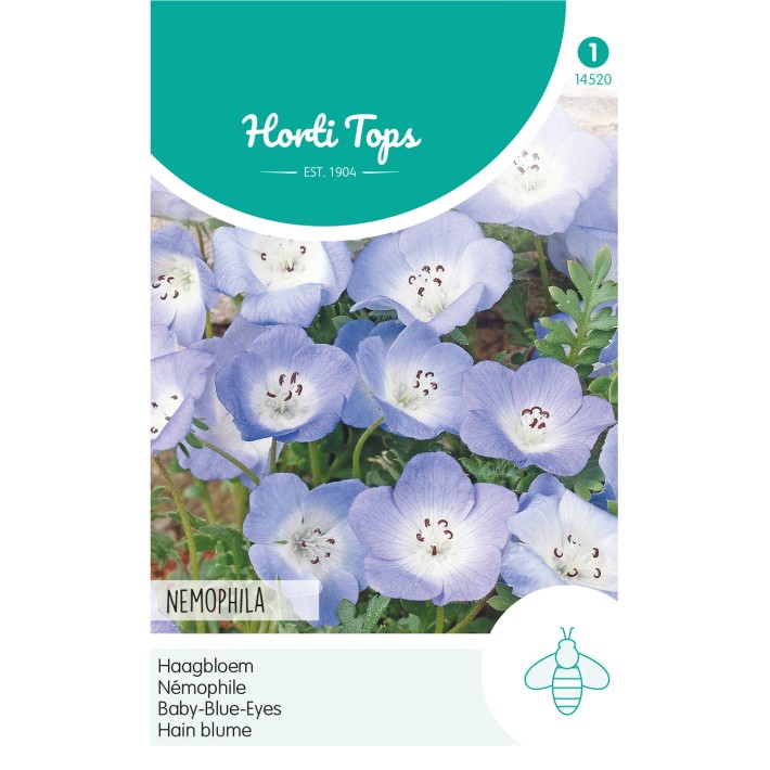 Horti Tops® Nemophile Insignis Bleu