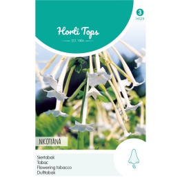 Nicotiana, Siertabak wit