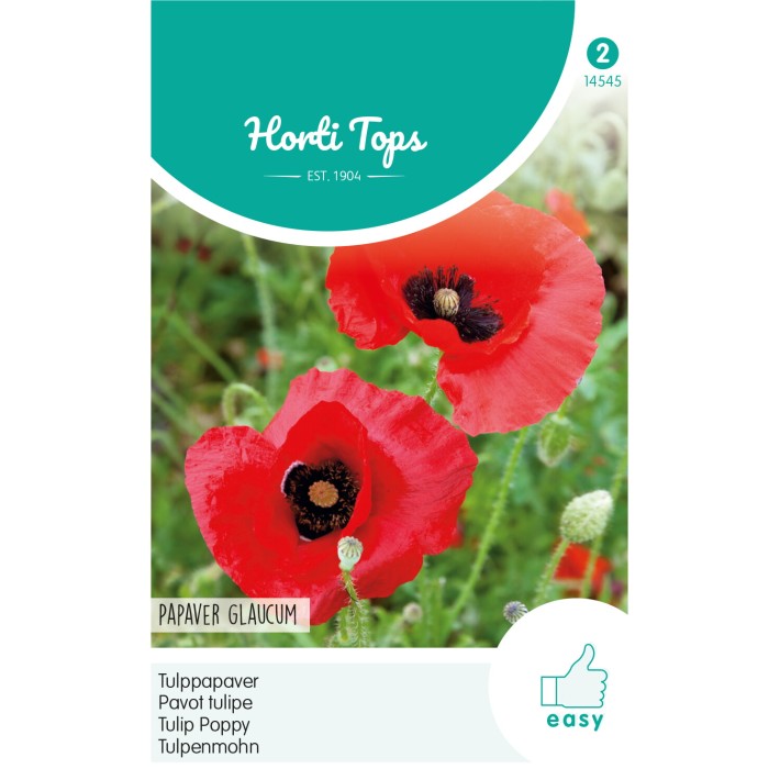 Horti Tops® Papaver glaucum, Rouge / mac. noire