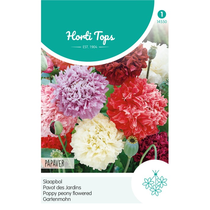 Horti Tops® Papaver somniferum 'Paeoniflorum' Dbl Var.