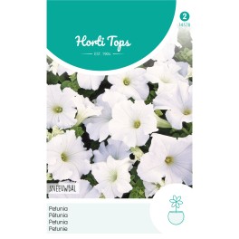 Petunia Sneeuwbal