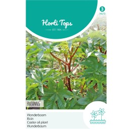 Horti Tops® Ricinus Zanzibariensis