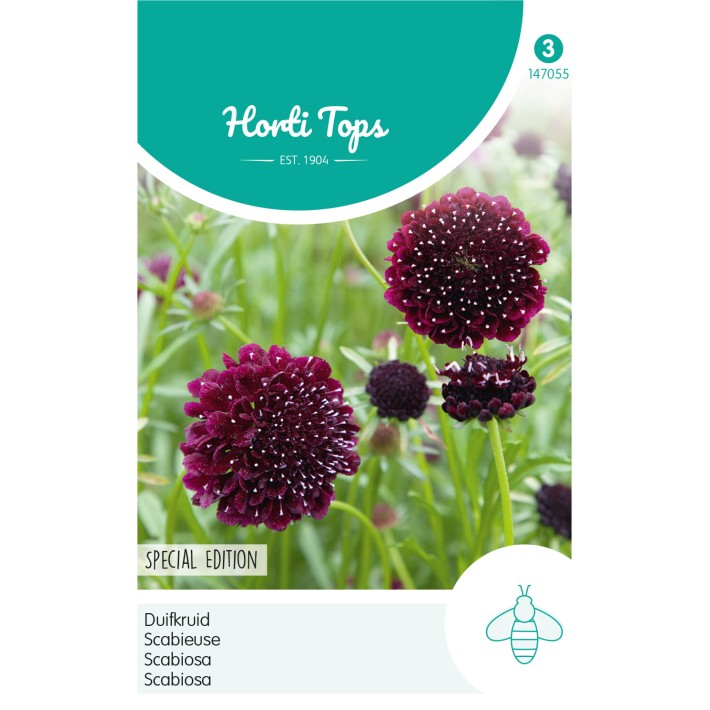 Horti Tops® Scabieuse Violet foncé