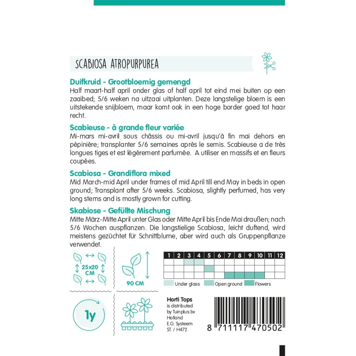 Horti Tops® Scabiosa Atropurpurea Grfl. Var.