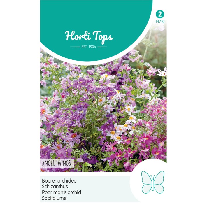Horti Tops®  Schizanthus Wiset. Angel Wings