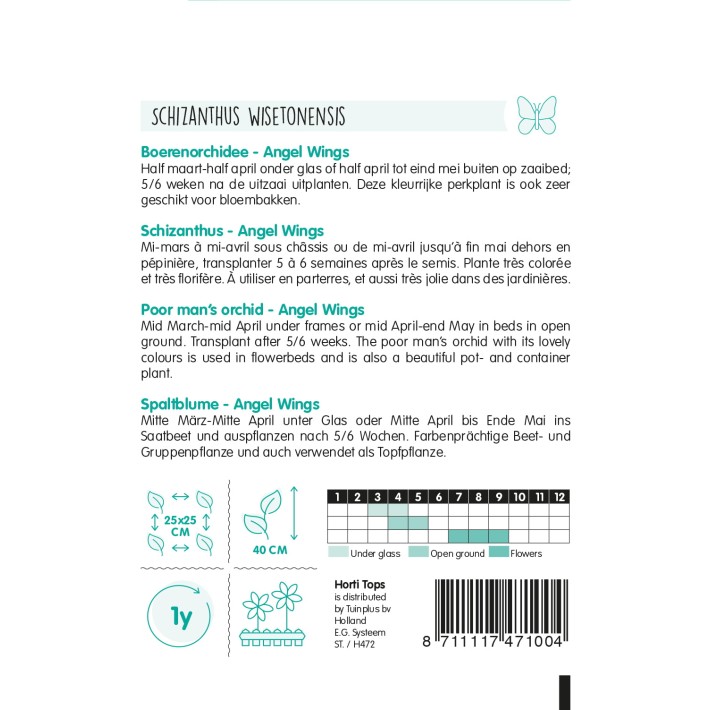 Horti Tops®  Schizanthus Wiset. Angel Wings