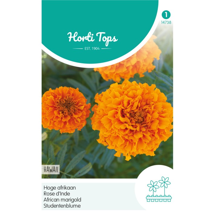Horti Tops® Tagetes Erecta Double Grande Hawaii, Orange