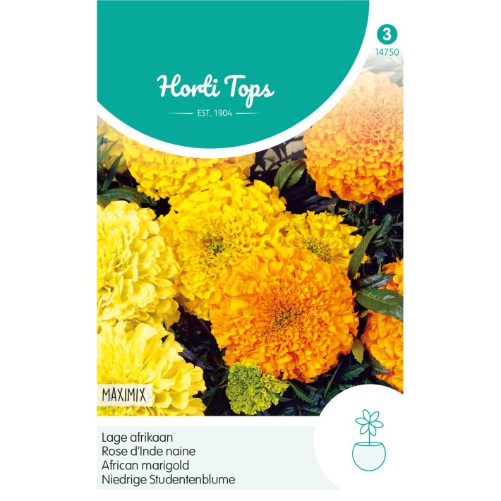 Horti Tops® Tagetes Erecta Nain Double Maximix Varie