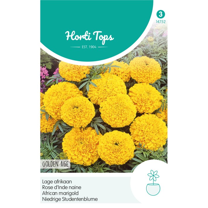Horti Tops® Tagetes Erecta Nana Nain Double Age D'Or