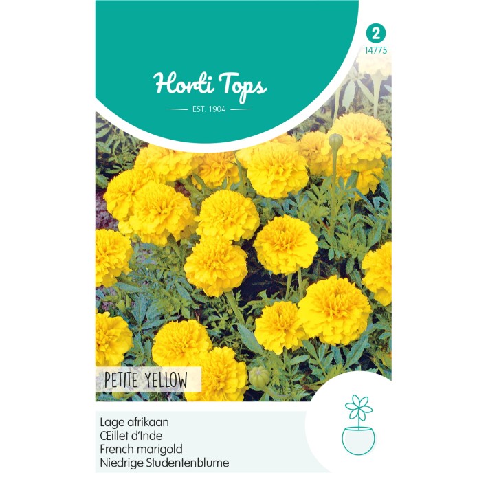 Horti Tops®  Tagetes patula nana Petite Yellow