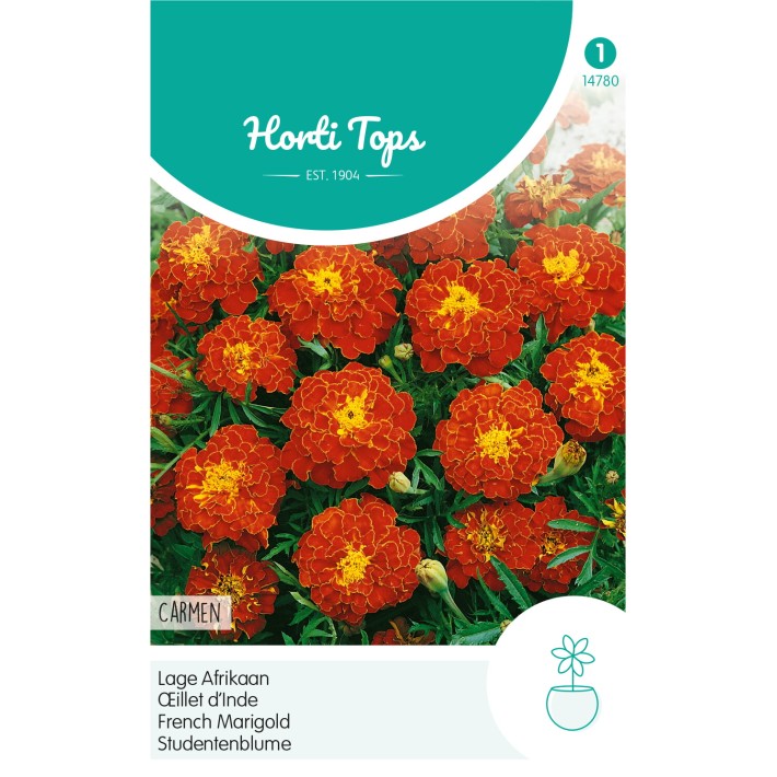 Horti Tops® Tagetes Patula Nana Carmen, Mahogany Red