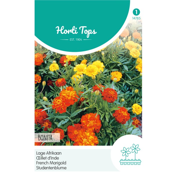 Horti Tops® Tagetes patula nana Bonita double mixed