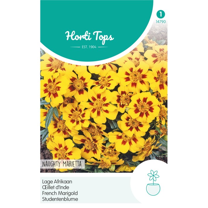 Horti Tops® Tagetes patula nana Naughty Marietta