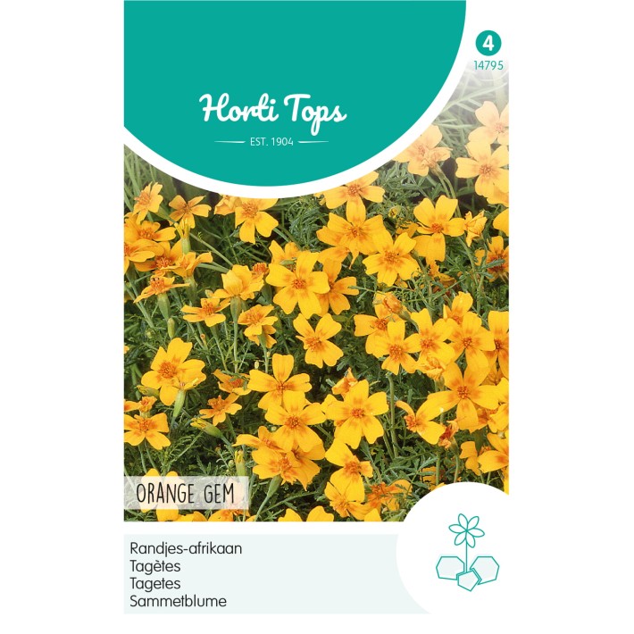 Horti Tops® Tagetes Tenuifolia Orange