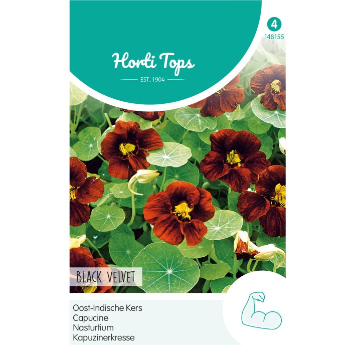 Horti Tops® Capucine Tropaeolum Black Velvet