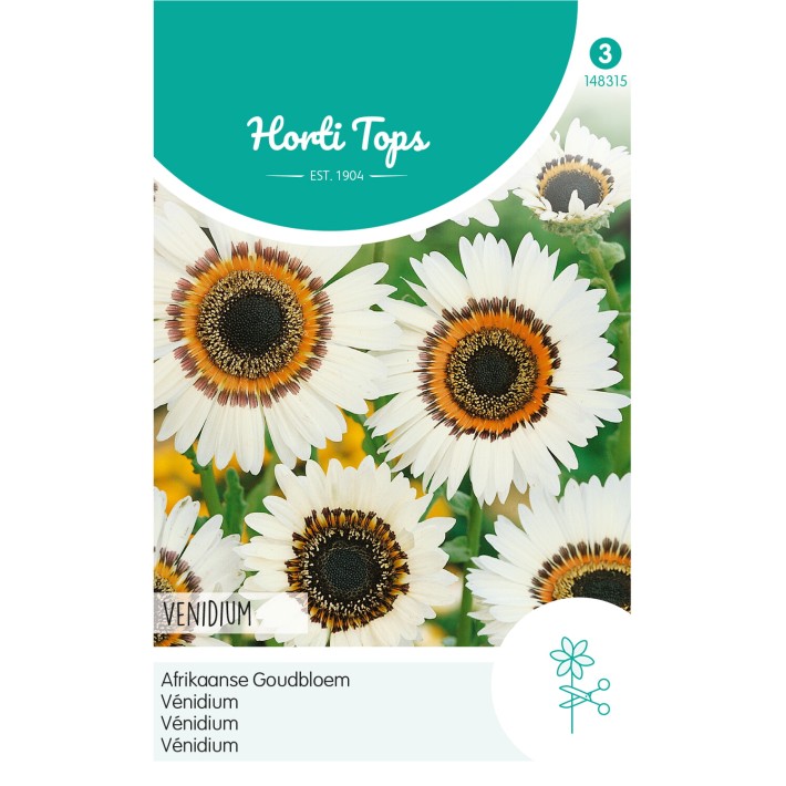 Horti Tops® Venidium Fastuosum White With Dark Ring