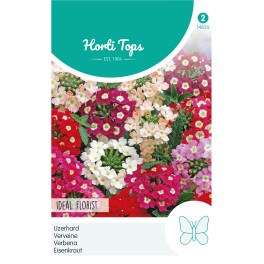 Verbena, Ijzerhard Ideal Florist gemengd