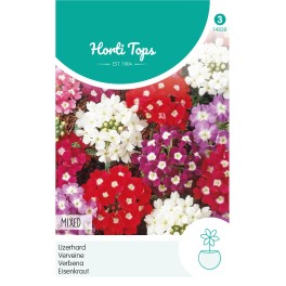 Verbena, IJzerhard gemengd