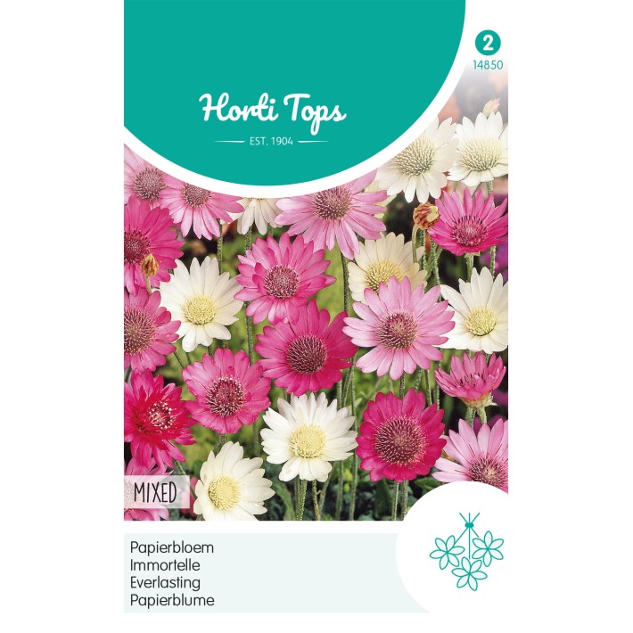 Horti Tops® Everlasting, Immortelle mixed