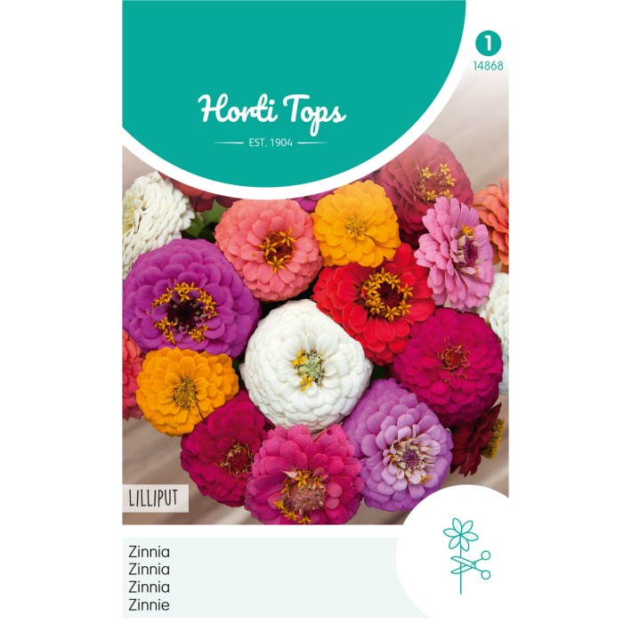 Horti Tops® Zinnia elegans double nain Lilliput variée