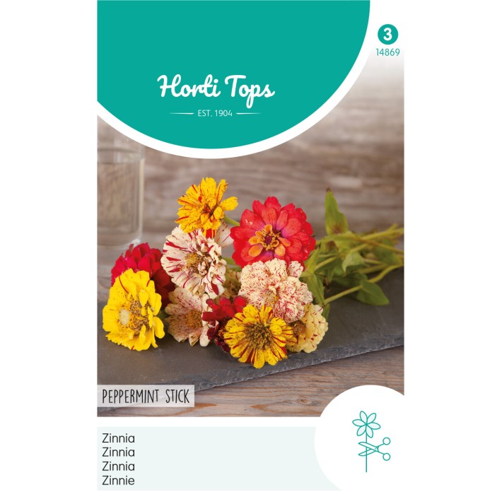 Horti Tops® Zinnia Peppermint Stick
