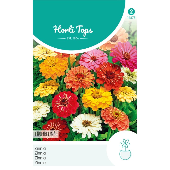 Horti Tops® Zinnia elegans Thumbelina dwarf mixed